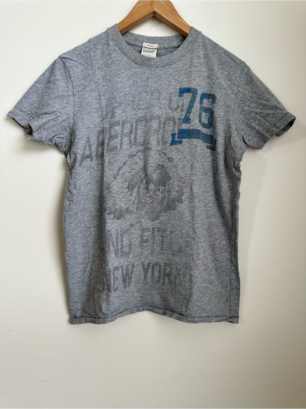 Abercrombie & Fitch Vintage Menās Gray Graphic Crew Neck T-Shirt